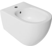 10nf41001-2l.234243221364238.jpg