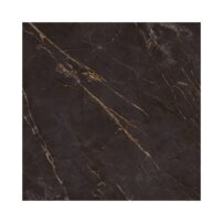 17529-1_paradyz-carrastone-black-matna-dlazba-rektifikovana-598-x-598-cm.jpg