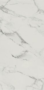 17538_carrastone-white-59-8x119-8-mat-rek.jpg