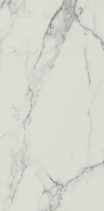 17778-1_carrastone-white-29-8x59-8-mat-rek-2.jpg