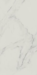 17778_carrastone-white-29-8x59-8-mat-rek-1.jpg