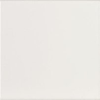 EVOLUTION Blanco Brillo 15x15 (bal = 1 m2), EQ-O