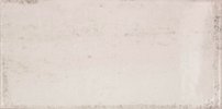 VITA Beige 10x20 (bal=1m2)
