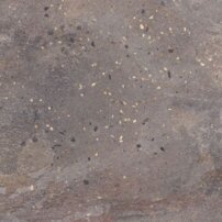 23979_desertdust-taupe-str-mat-59-8x59-8-r.jpg