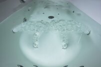 73611-2010.265557827929326.jpg