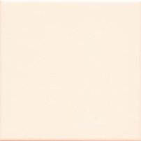 UNICOLOR 20 Hueso brillo 20x20 (1bal=1m2)