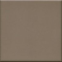 UNICOLOR 20 Oliva mate 20x20 (1bal=1m2)
