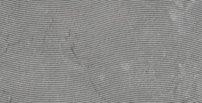 bra006.196649372618780.jpg