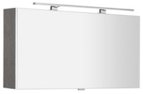 ce100-0011.159639639426343.jpg