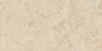 fnc003.276617368698884.jpg