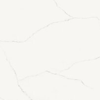 ice003.248227634875338.jpg