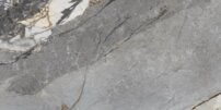mnr001.248227634875364.jpg