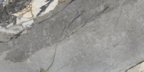mnr002.248227634875372.jpg