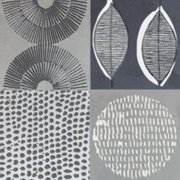 nai001.137417478703905.jpg