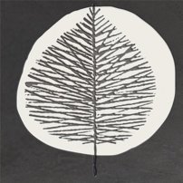 nai002.137417478707610.jpg