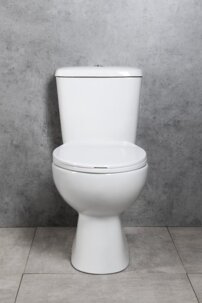 ps8812.223338299396879.jpg