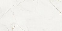 qnt002.248227634875249.jpg