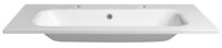 sd101-2.230790067651526.jpg