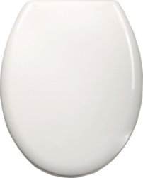 st262.137417478650689.jpg