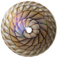 ym1236.288084931379580.jpg