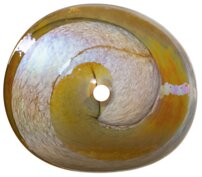ym1238.288084931379665.jpg